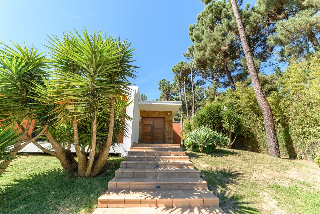 Villa Birdies Nest Photo