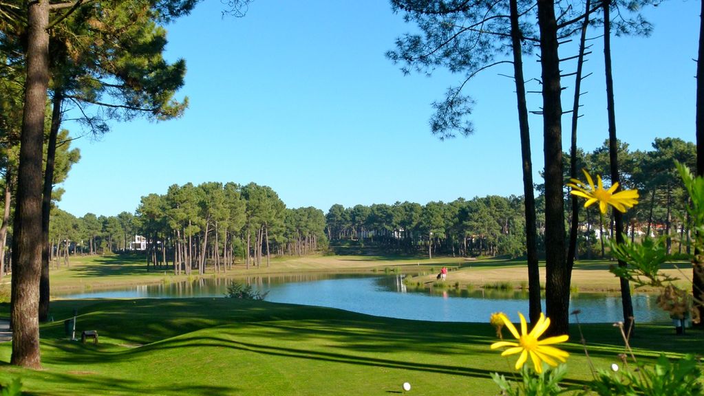 Villa Birdies Nest Photo