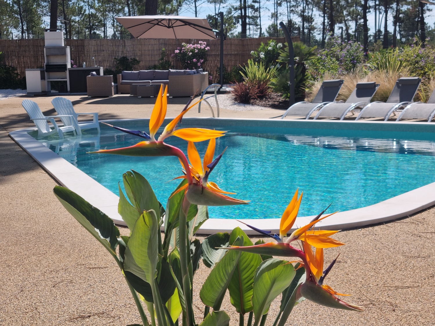 Villa Ypsilon Eagles Photo