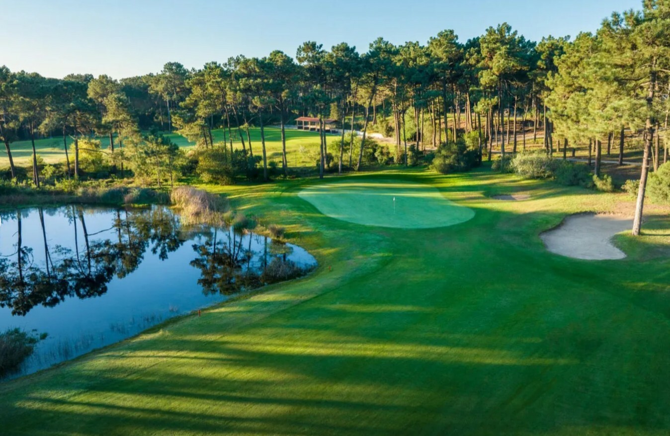 Villa Ypsilon Eagle Photo