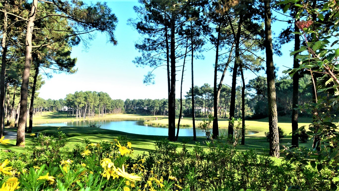 Villa Pineside Green Photo